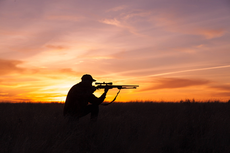 hunting at sunset